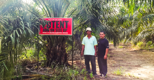 tapak plottest 2014