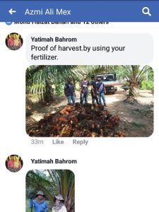 yatimah