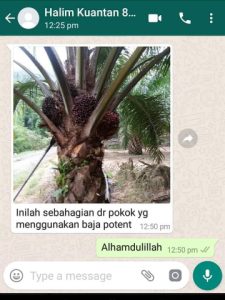 halim kuantan 1