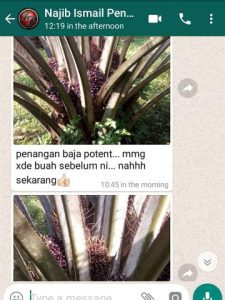 najib ismali 2