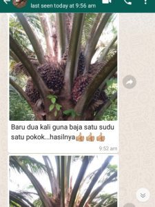testimoni potent1