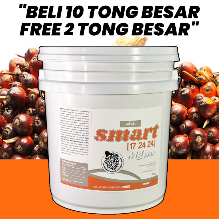 10 percuma 2 tong