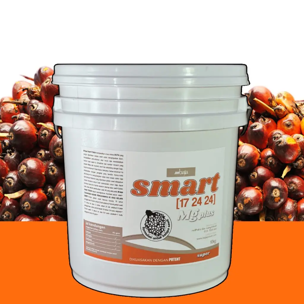 mbaja smart