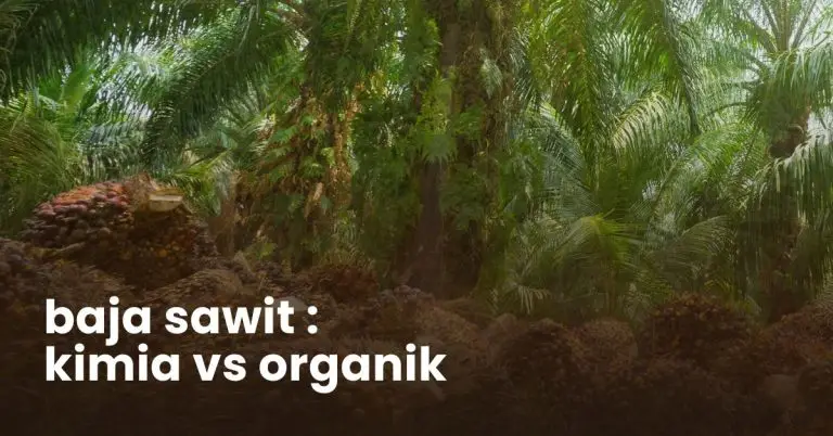 baja sawit kimia vs organik