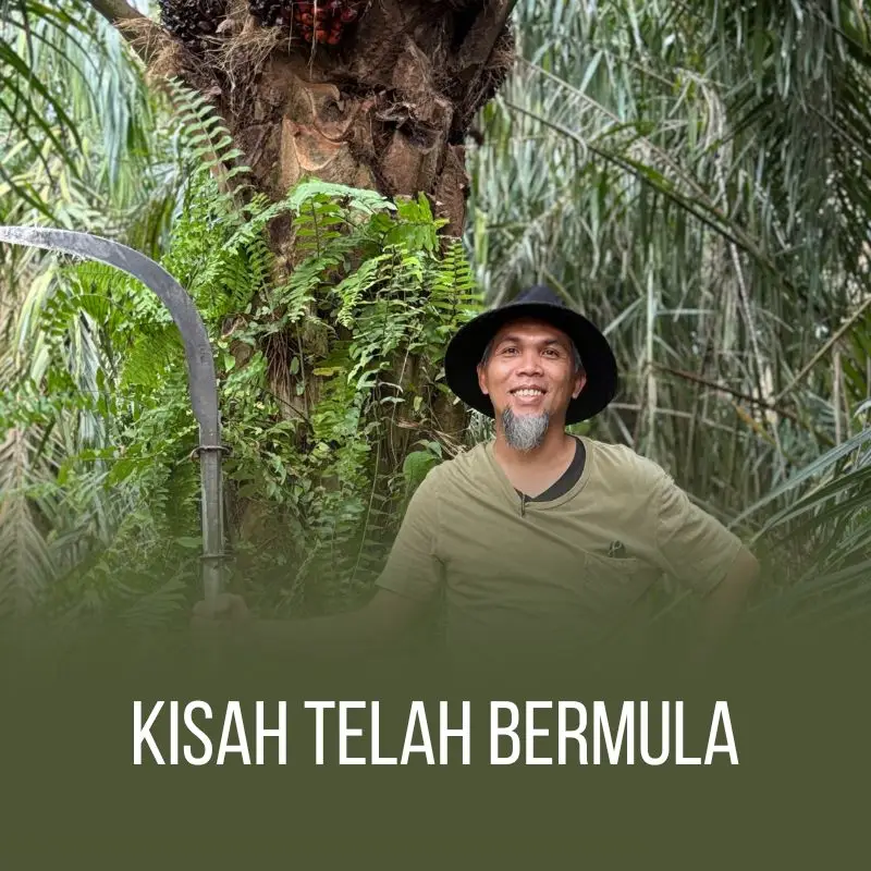 kisah telah bermula
