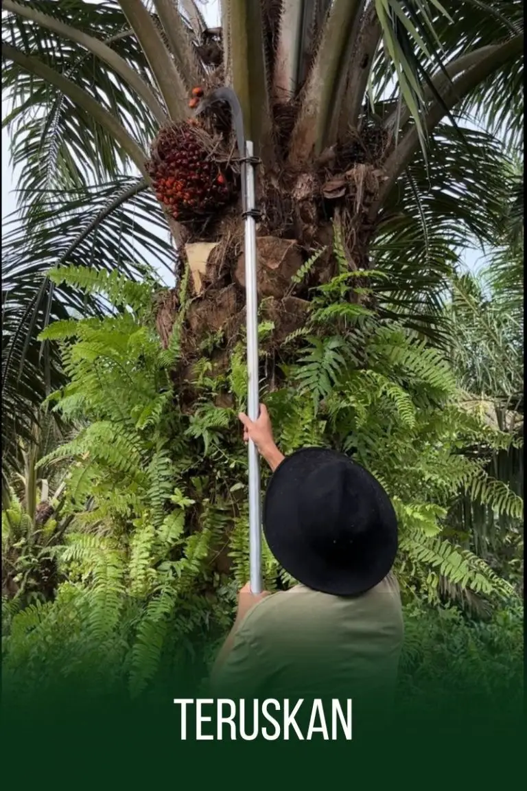 teruskan 2