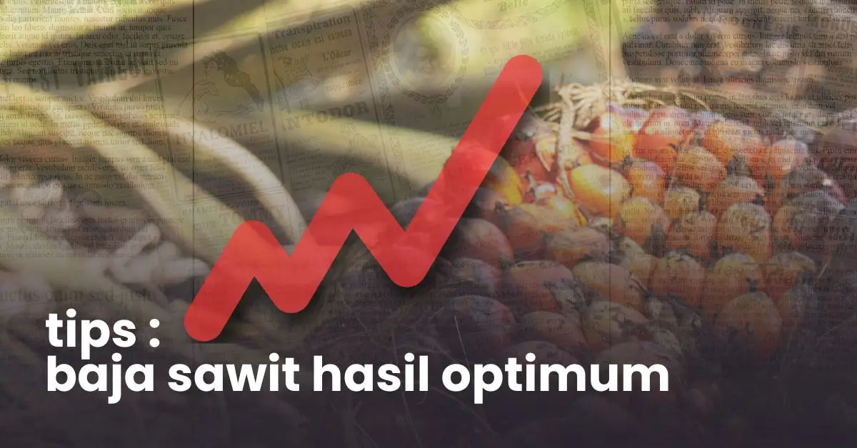 tip baja sawit hasil optimum