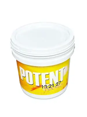 Potent Booster 13.21.27 (2008)