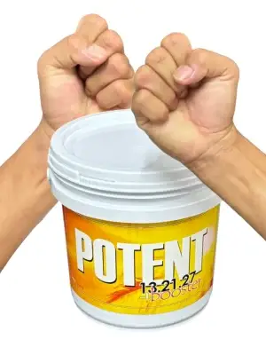 Potent Booster 13.21.27 (2008)
