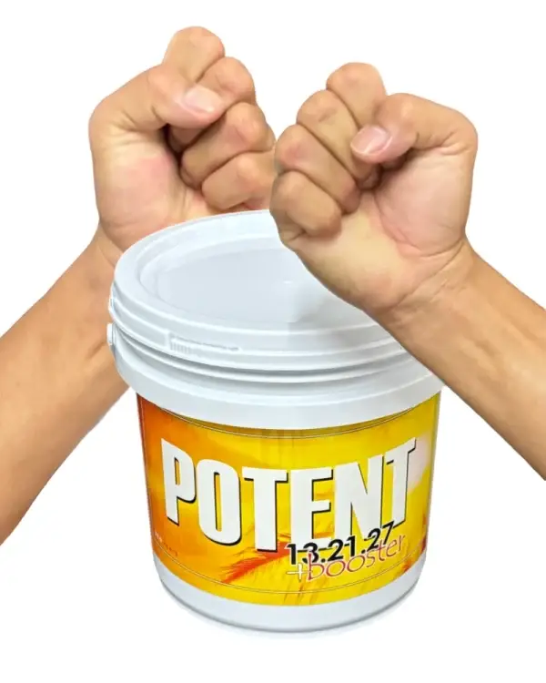 Potent Booster 13.21.27 (2008)